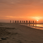 Group wellness activity on the beach at sunset, showing consistent guest experience in wellness hospitality